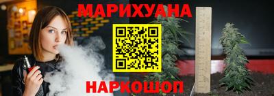 apvp Нальчик