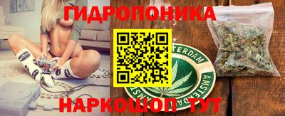 apvp Нальчик