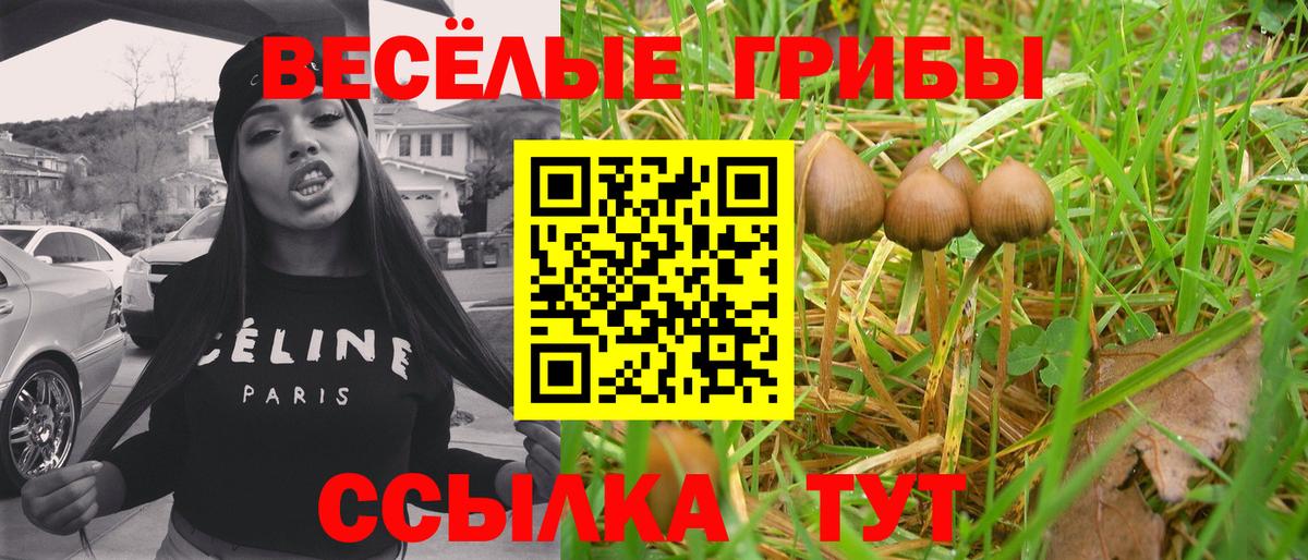 Галлюциногенные грибы прущие грибы Бузулук